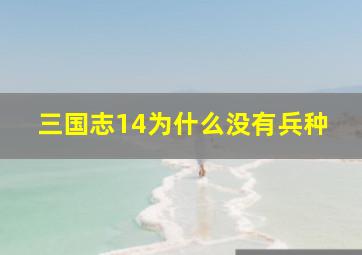 三国志14为什么没有兵种