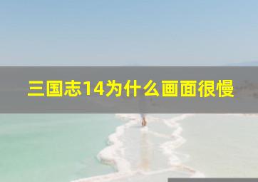 三国志14为什么画面很慢