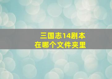 三国志14剧本在哪个文件夹里