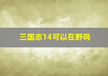 三国志14可以在野吗