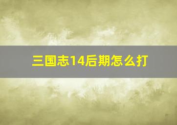 三国志14后期怎么打