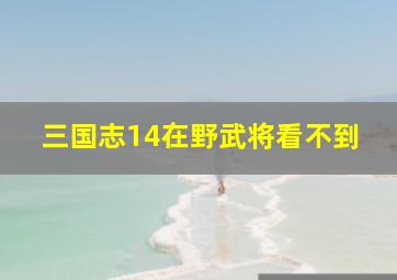 三国志14在野武将看不到