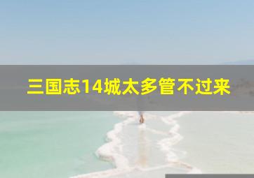 三国志14城太多管不过来