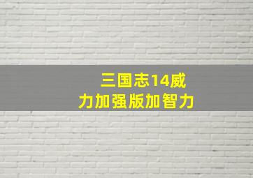 三国志14威力加强版加智力