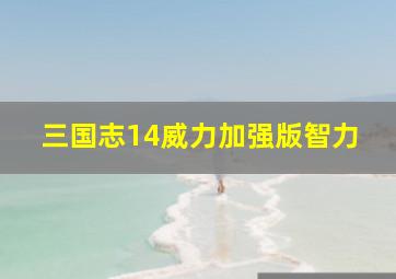 三国志14威力加强版智力