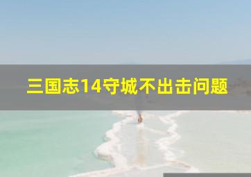 三国志14守城不出击问题