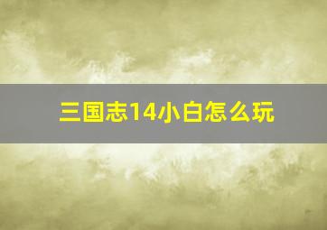 三国志14小白怎么玩