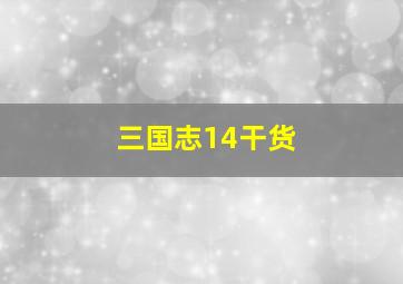 三国志14干货