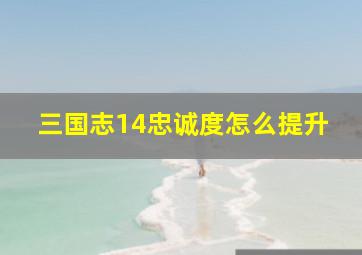 三国志14忠诚度怎么提升