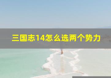 三国志14怎么选两个势力