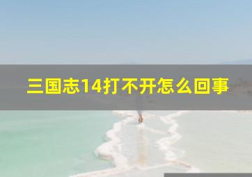 三国志14打不开怎么回事