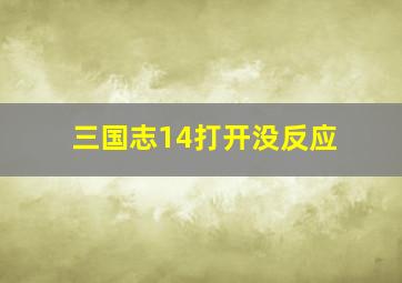 三国志14打开没反应