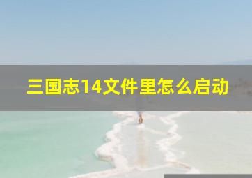 三国志14文件里怎么启动