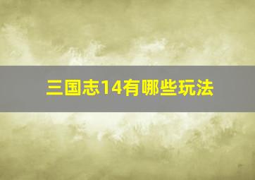 三国志14有哪些玩法