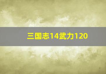 三国志14武力120