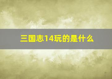 三国志14玩的是什么