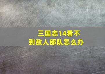 三国志14看不到敌人部队怎么办