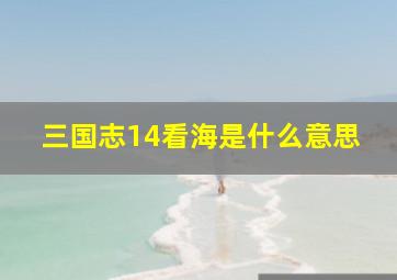 三国志14看海是什么意思