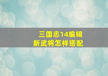 三国志14编辑新武将怎样搭配