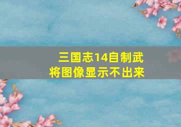 三国志14自制武将图像显示不出来