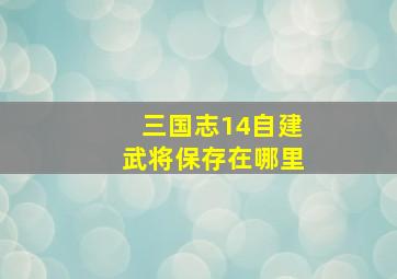 三国志14自建武将保存在哪里