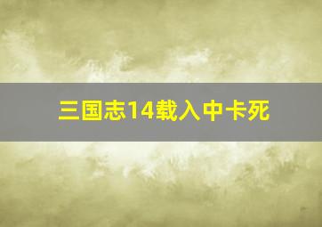 三国志14载入中卡死