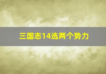 三国志14选两个势力