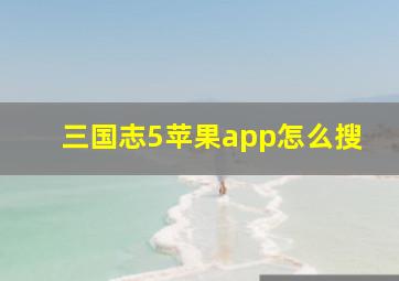 三国志5苹果app怎么搜