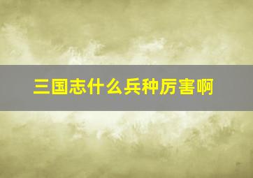 三国志什么兵种厉害啊