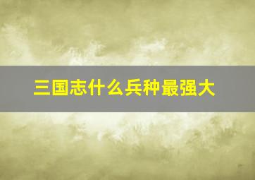 三国志什么兵种最强大