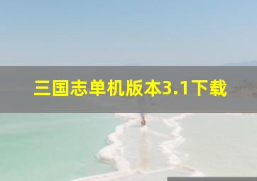 三国志单机版本3.1下载