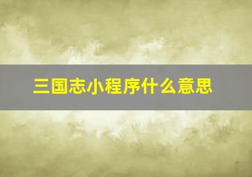 三国志小程序什么意思