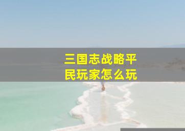 三国志战略平民玩家怎么玩