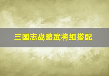 三国志战略武将组搭配