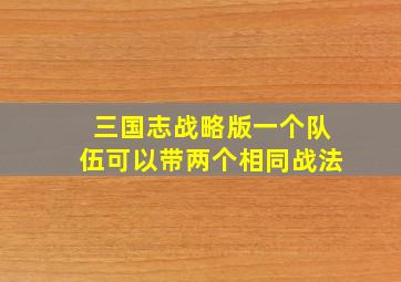 三国志战略版一个队伍可以带两个相同战法