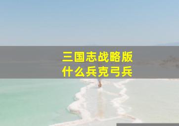 三国志战略版什么兵克弓兵