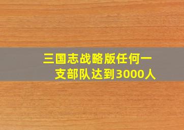 三国志战略版任何一支部队达到3000人