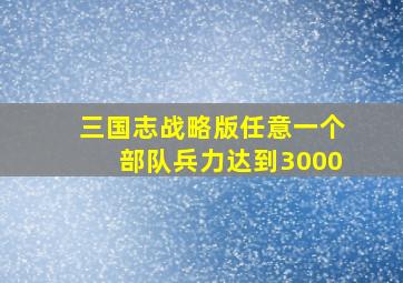 三国志战略版任意一个部队兵力达到3000