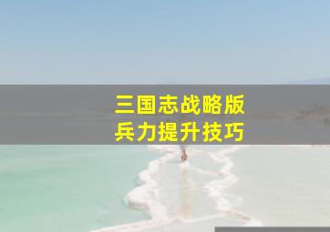 三国志战略版兵力提升技巧