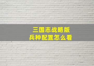 三国志战略版兵种配置怎么看