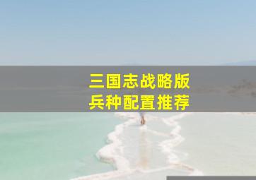 三国志战略版兵种配置推荐