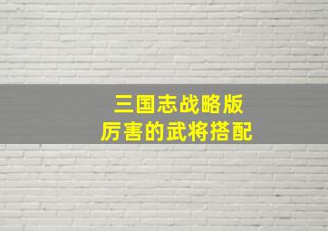 三国志战略版厉害的武将搭配