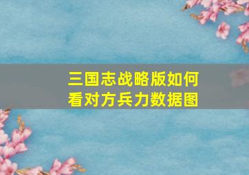 三国志战略版如何看对方兵力数据图