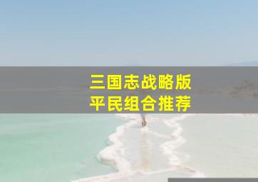 三国志战略版平民组合推荐