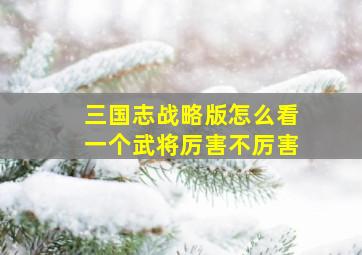 三国志战略版怎么看一个武将厉害不厉害