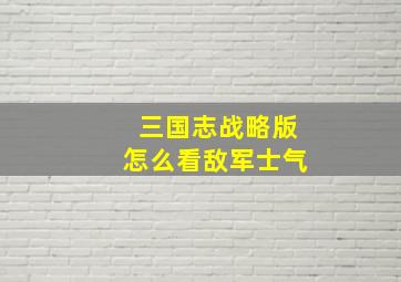 三国志战略版怎么看敌军士气