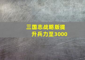 三国志战略版提升兵力至3000