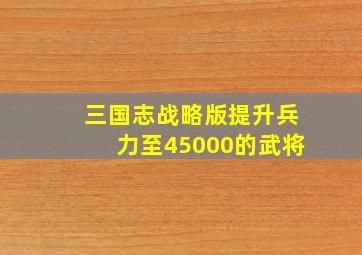 三国志战略版提升兵力至45000的武将