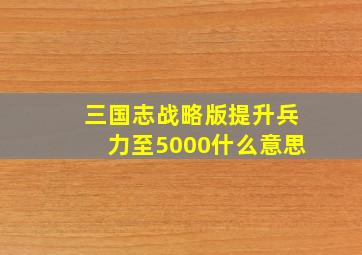 三国志战略版提升兵力至5000什么意思