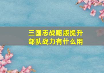 三国志战略版提升部队战力有什么用